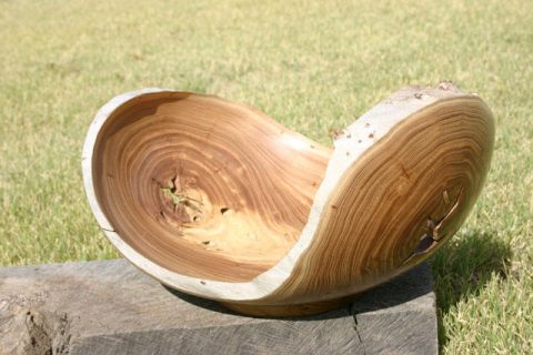 Reynolds Cup Elm Bowl