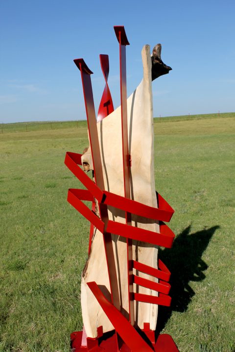 Prairie Dancer