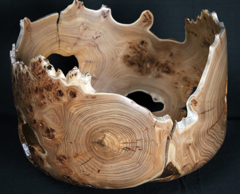 #2610 Burl Siberian Elm