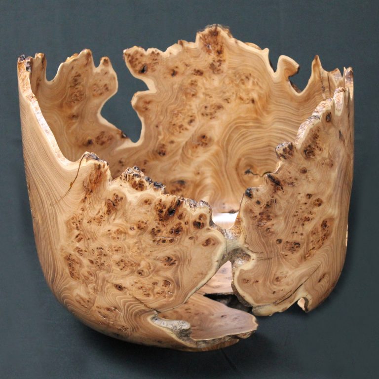 #2606 Burl Siberian Elm Bowl
